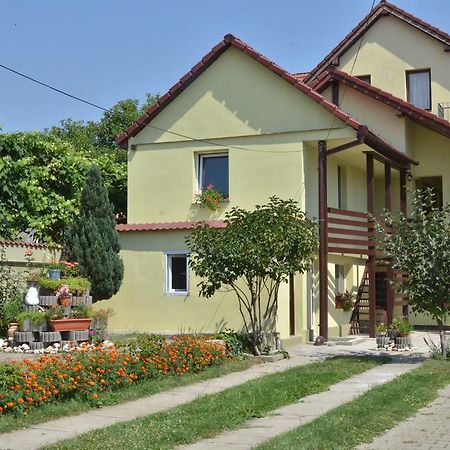 Hotel Vila Bel Ami à Şelimbăr Chambre photo