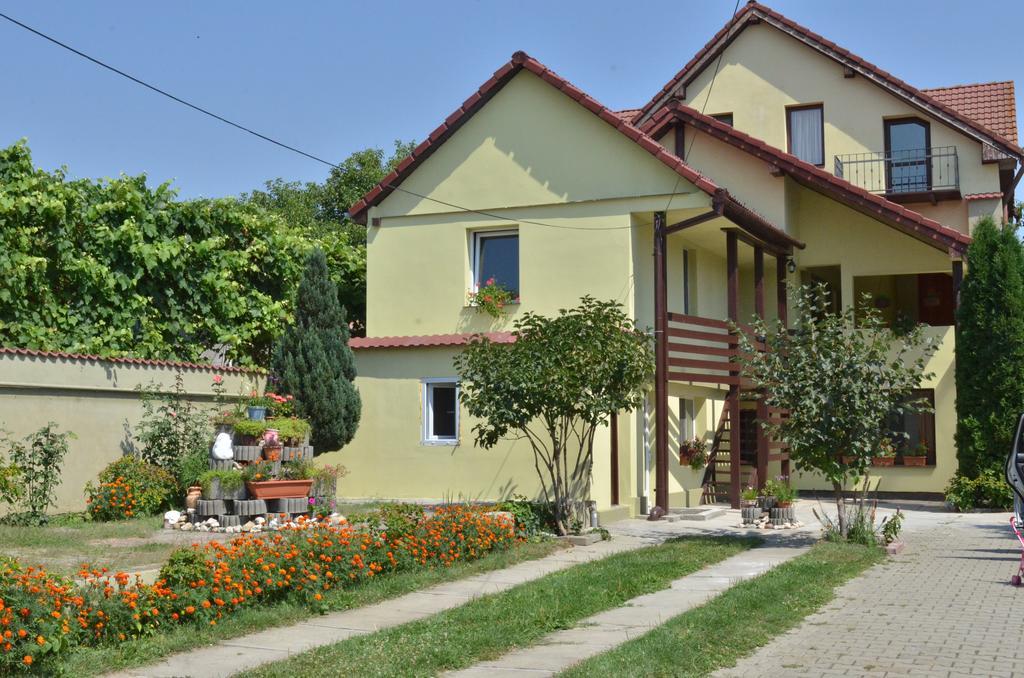 Hotel Vila Bel Ami à Şelimbăr Chambre photo