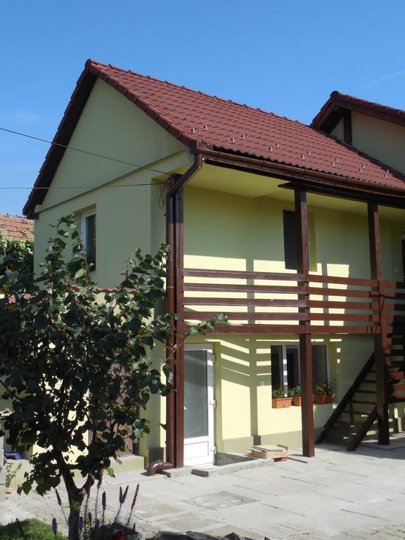Hotel Vila Bel Ami à Şelimbăr Chambre photo
